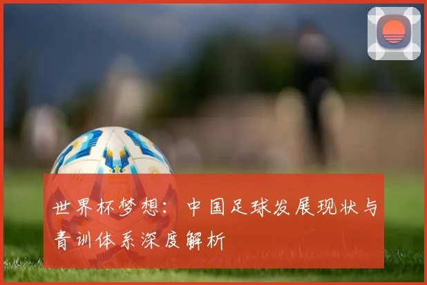 世界杯梦想：中国足球发展现状与青训体系深度解析