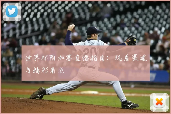世界杯附加赛直播指南：观看渠道与精彩看点