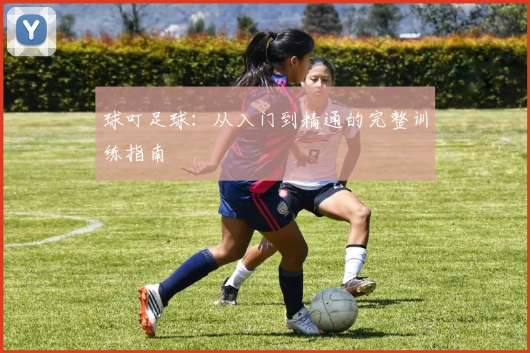 球叮足球：从入门到精通的完整训练指南